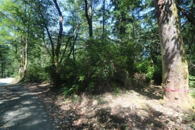 28686 141st Avenue SW, Vashon, WA 98070 - Photo 7