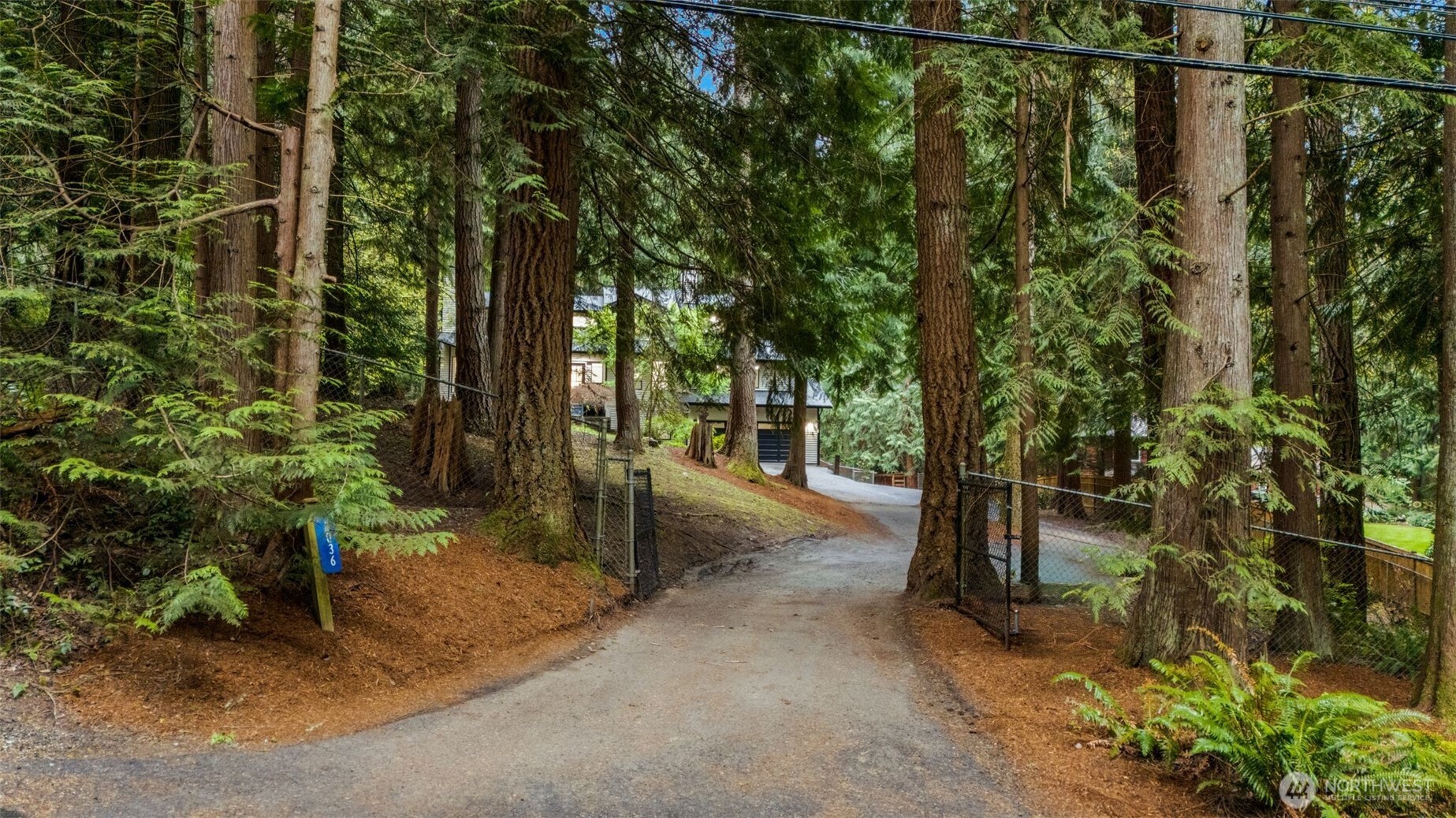 3036 E Ames Lake Drive NE, Redmond, WA 98053