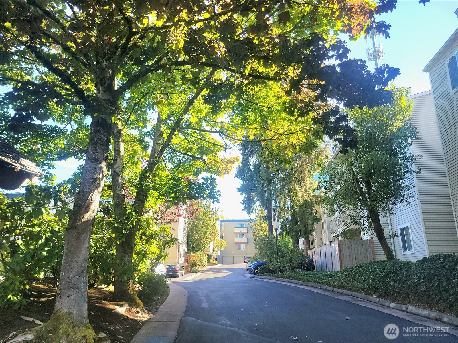18100 15th Avenue NE #C218, Shoreline, WA 98155-3845
