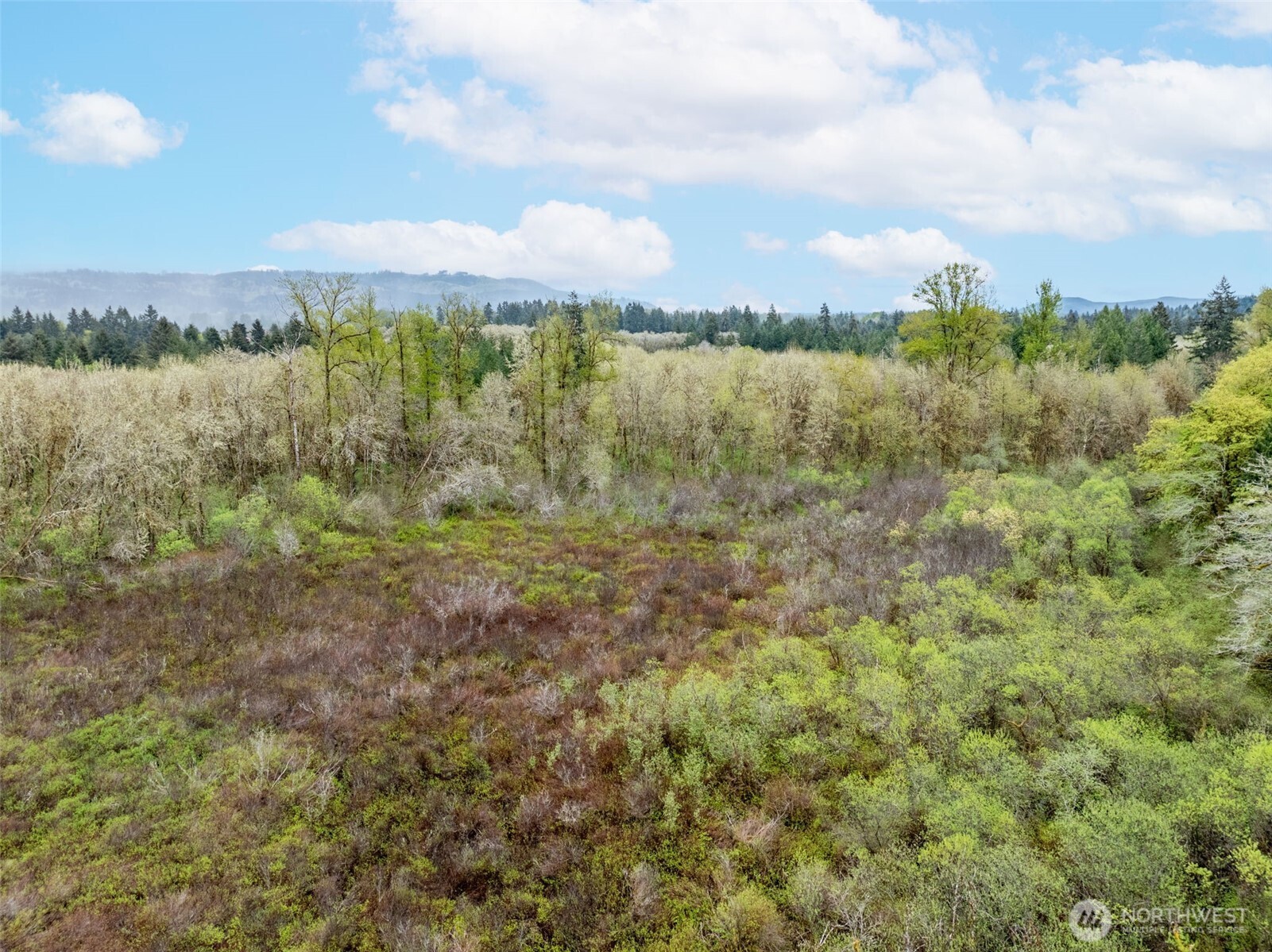 148 Oak Meadows Lane , Oakville, WA 98568