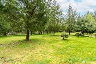 148 Oak Meadows Lane , Oakville, WA 98568 - Photo 3