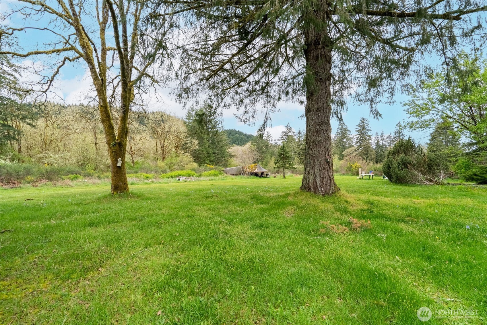 148 Oak Meadows Lane , Oakville, WA 98568