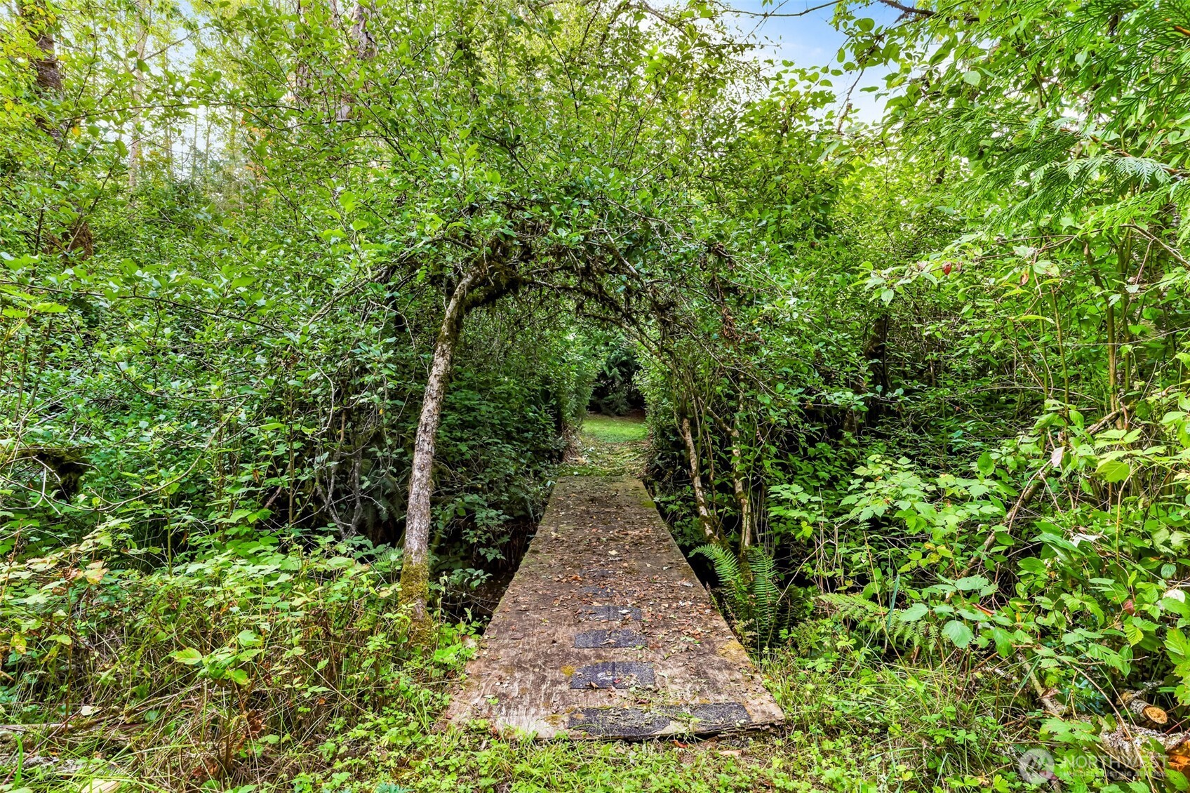 9515 Sunrise Road , Blaine, WA 98230