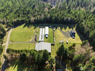 31326 RE Undisclosed , Tahuya, WA 98588 - Photo 30