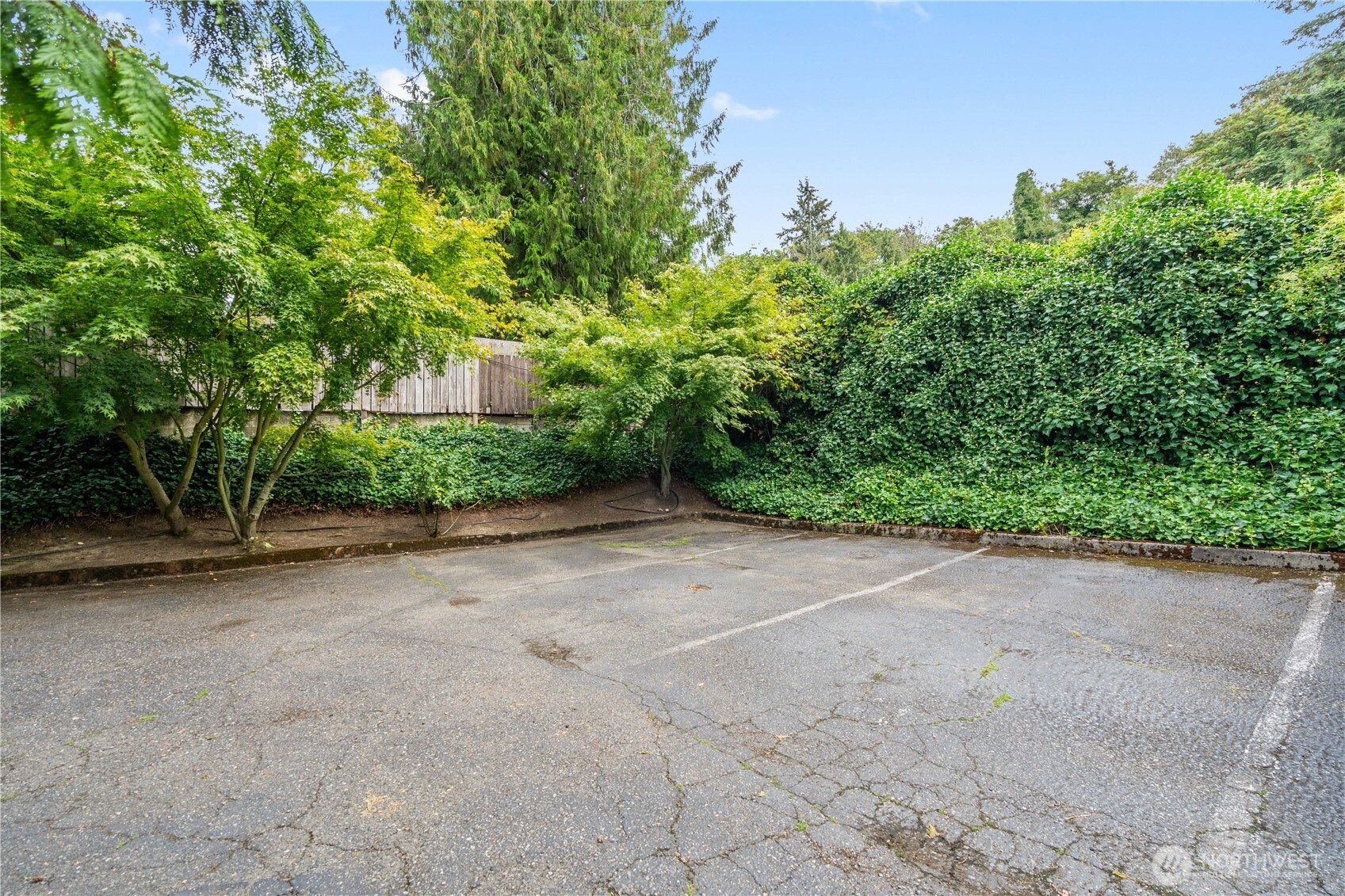 10320 SE 6th Street #B6, Bellevue, WA 98004