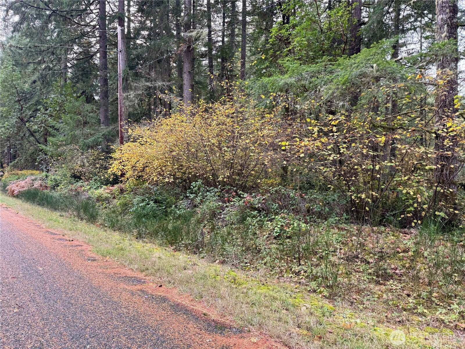 10824 Madrona Drive , Anderson Island, WA 98303