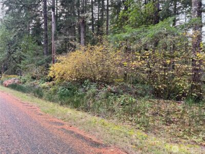 10824 Madrona Drive , Anderson Island, WA 98303 - Photo 2