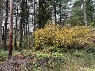 10824 Madrona Drive , Anderson Island, WA 98303 - Photo 3