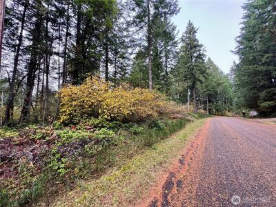 10824 Madrona Drive , Anderson Island, WA 98303 - Photo 4