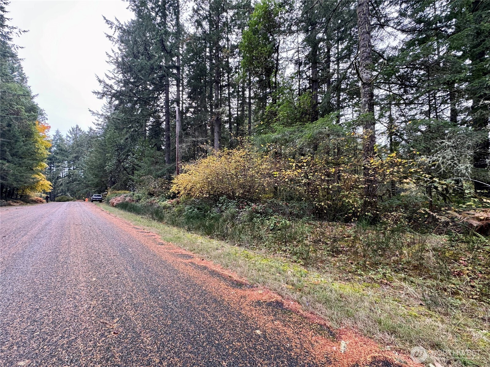 10824 Madrona Drive , Anderson Island, WA 98303