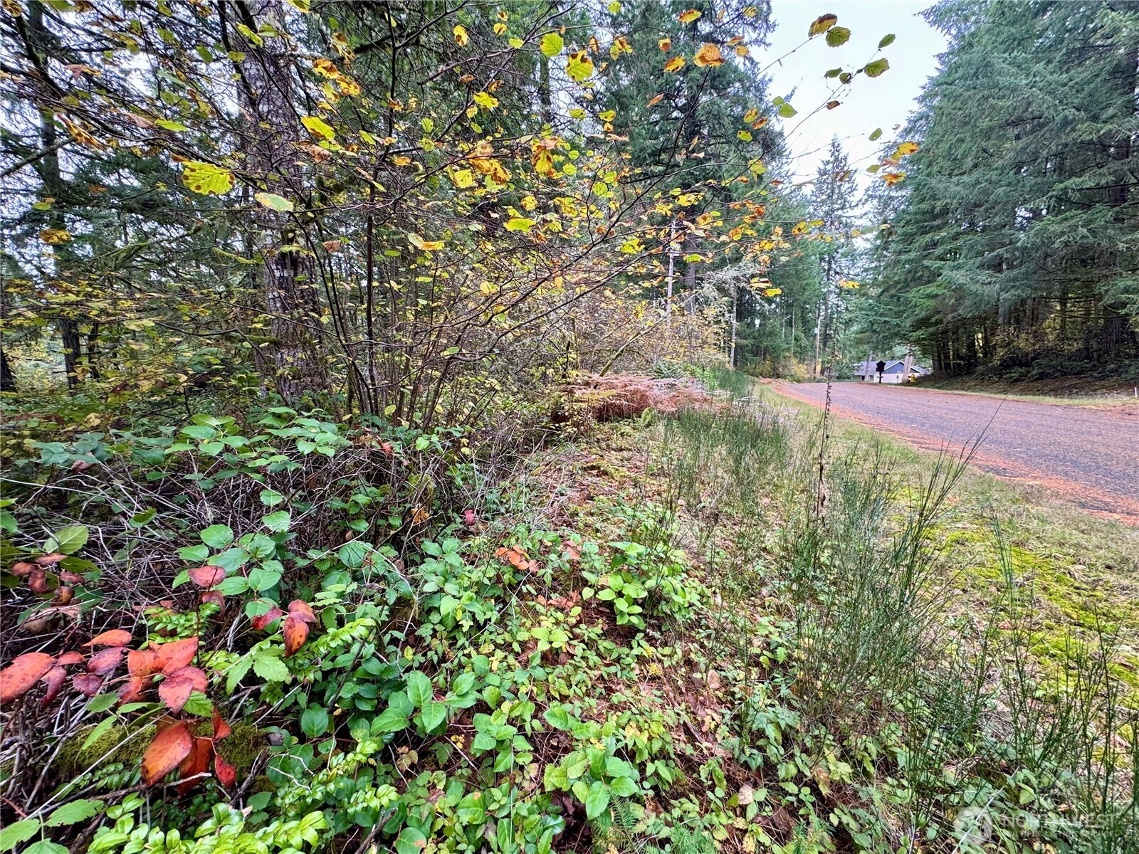 10824 Madrona Drive , Anderson Island, WA 98303