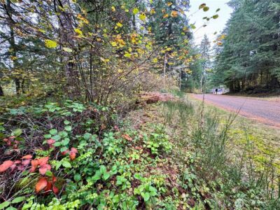 10824 Madrona Drive , Anderson Island, WA 98303 - Photo 7