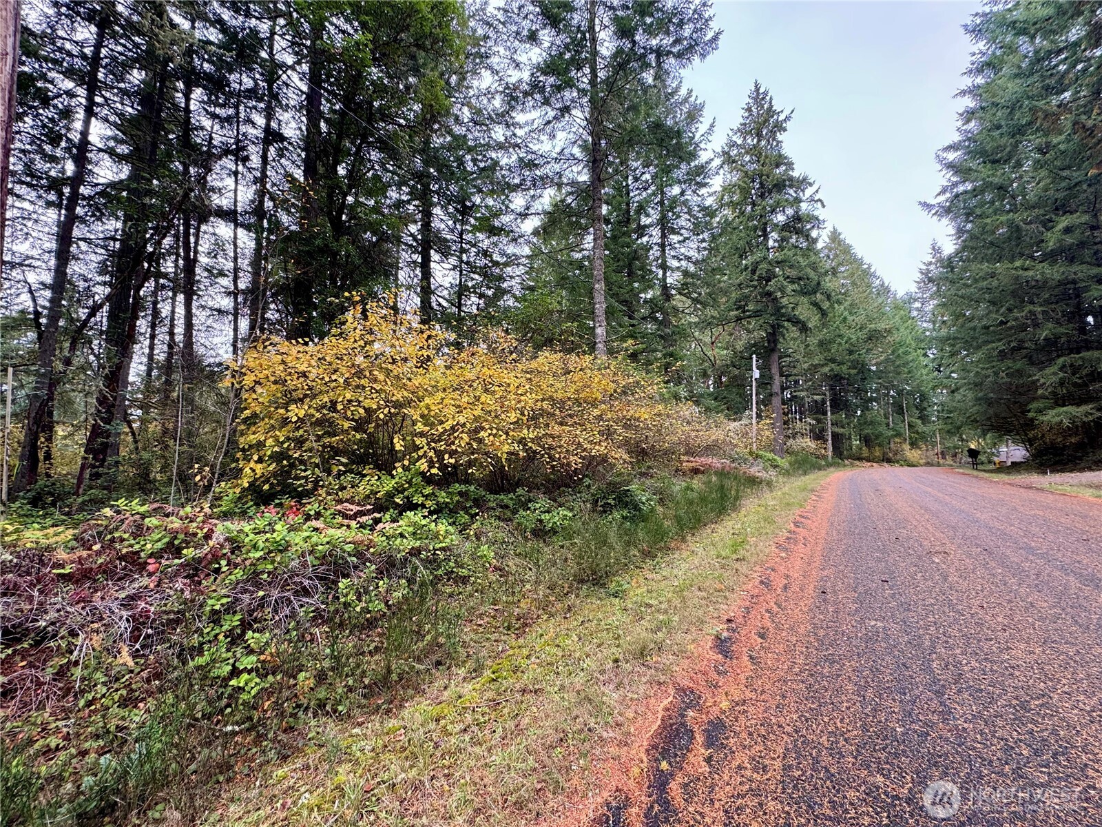 10824 Madrona Drive , Anderson Island, WA 98303