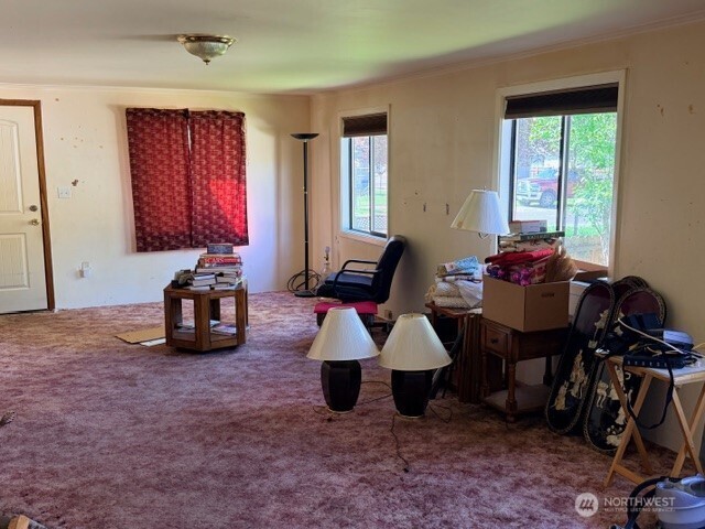 302 Monroe Street , Ryderwood, WA 98581-9731