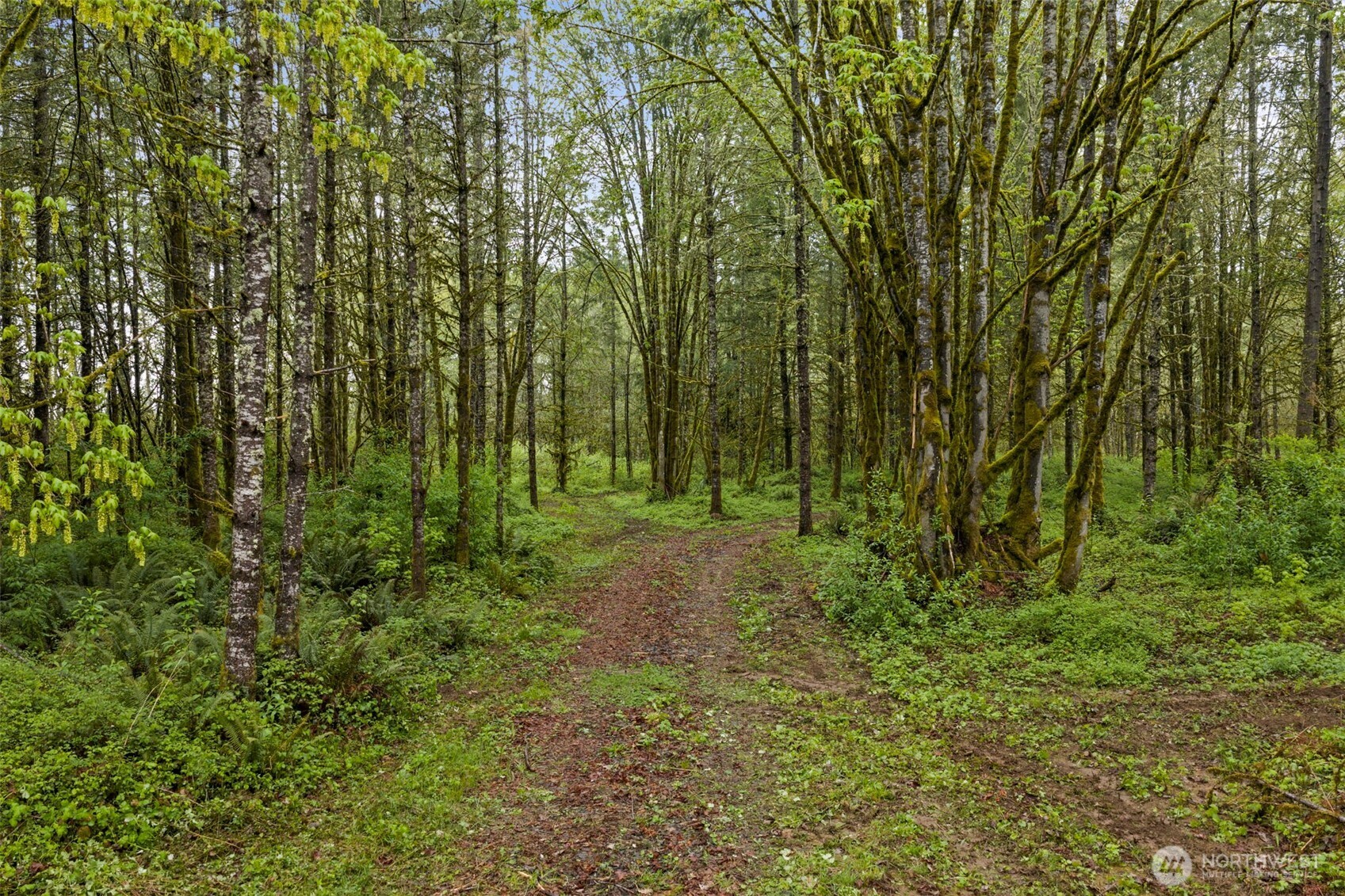 0 XXX Hwy 12 (Lot 1) , Ethel, WA 98542