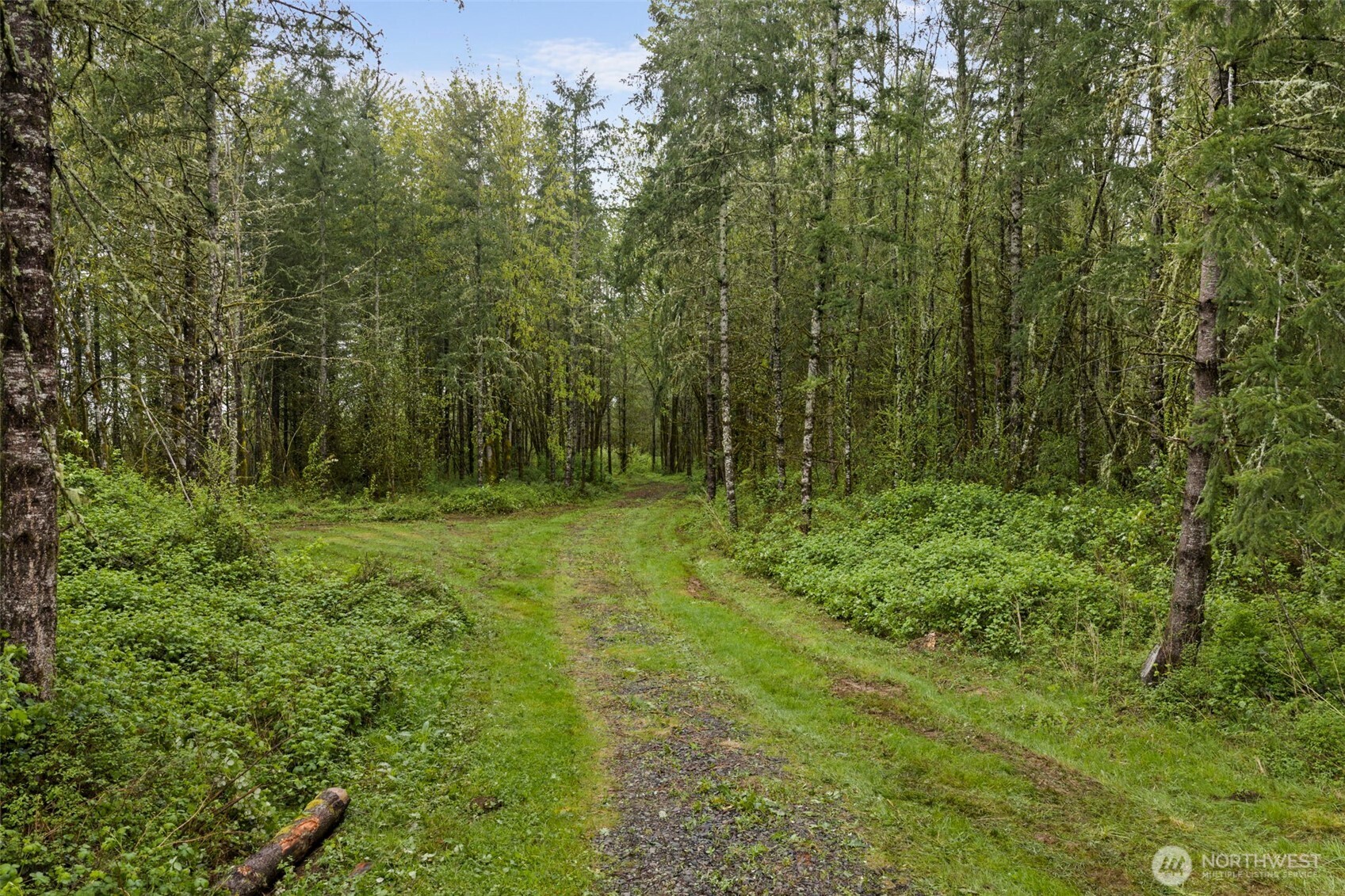 0 XXX Hwy 12 (Lot 1) , Ethel, WA 98542
