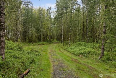 0 XXX Hwy 12 (Lot 1) , Ethel, WA 98542 - Photo 14