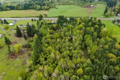 0 XXX Hwy 12 (Lot 1) , Ethel, WA 98542 - Photo 7