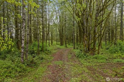 0 0 XXX Hwy 12 (Lot 2) , Ethel, WA 98542 - Photo 13