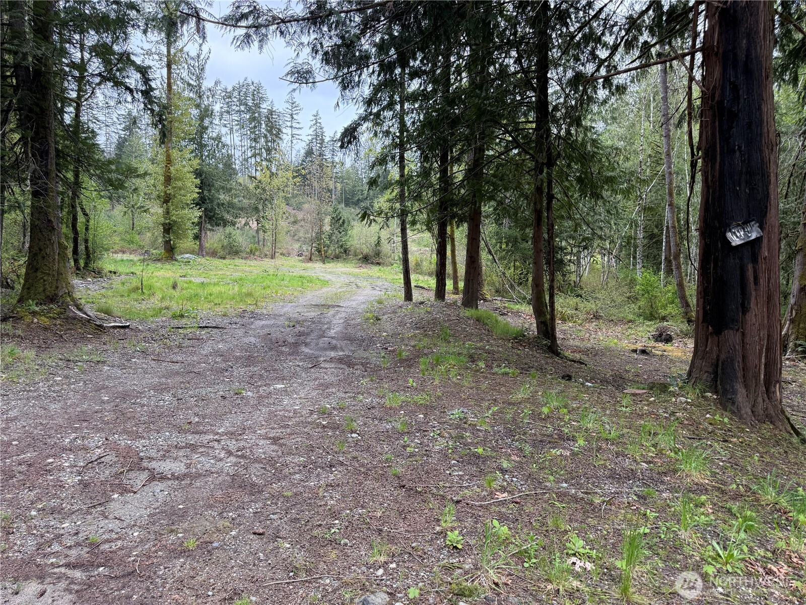 0 SW Spruce Road , Port Orchard, WA 98367