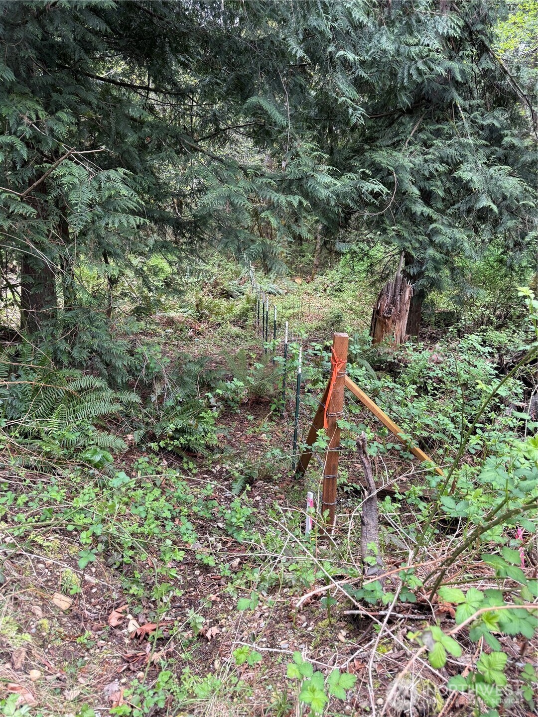 0 SW Spruce Road , Port Orchard, WA 98367