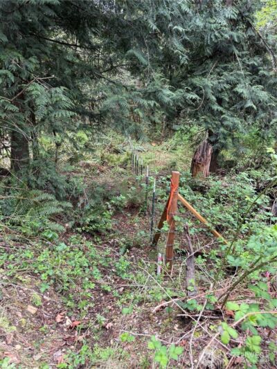 0 SW Spruce Road , Port Orchard, WA 98367 - Photo 6