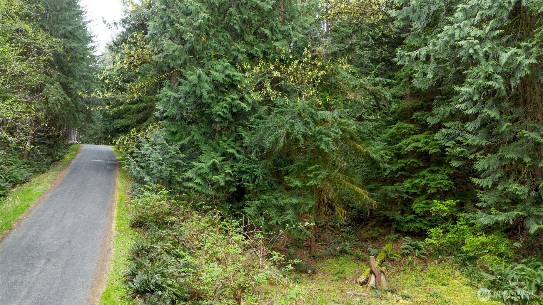13 Wisteria Lane , Bellingham, WA 98229