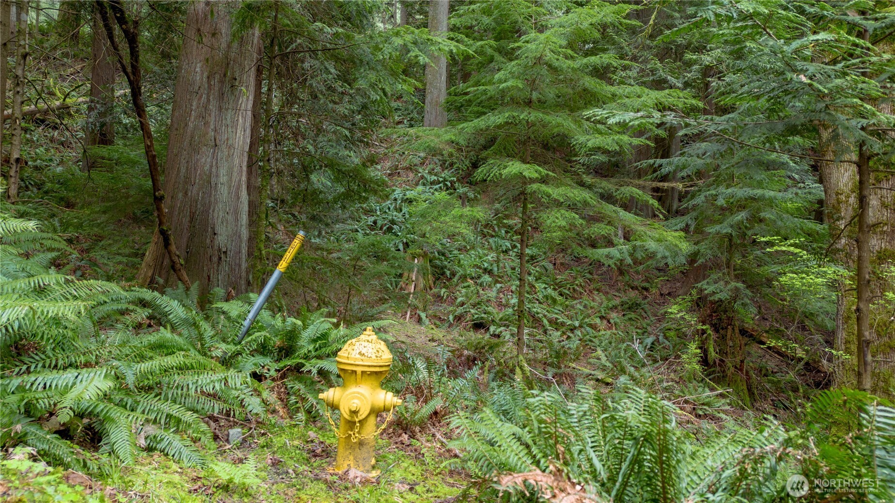 13 Wisteria Lane , Bellingham, WA 98229