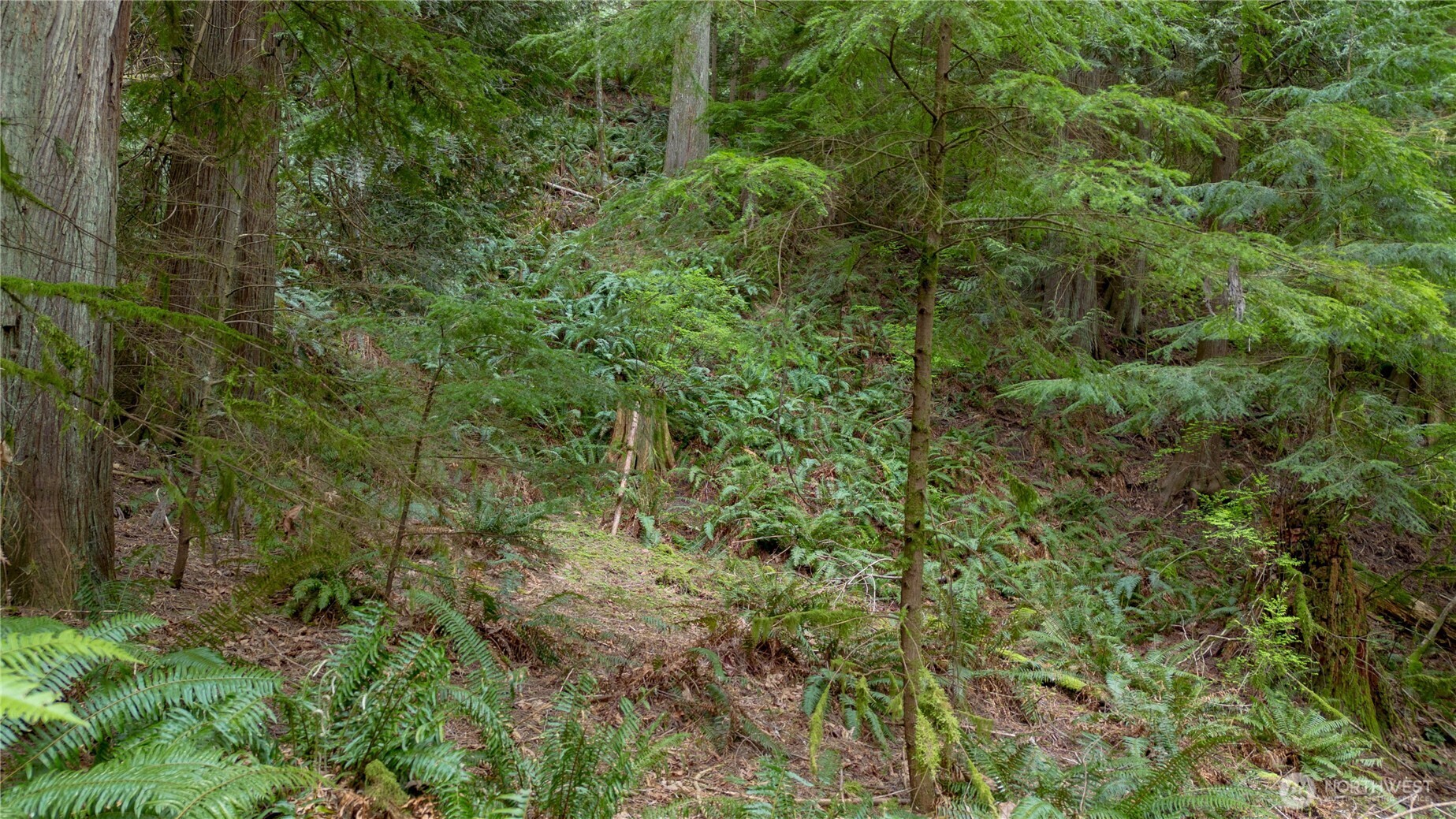 13 Wisteria Lane , Bellingham, WA 98229