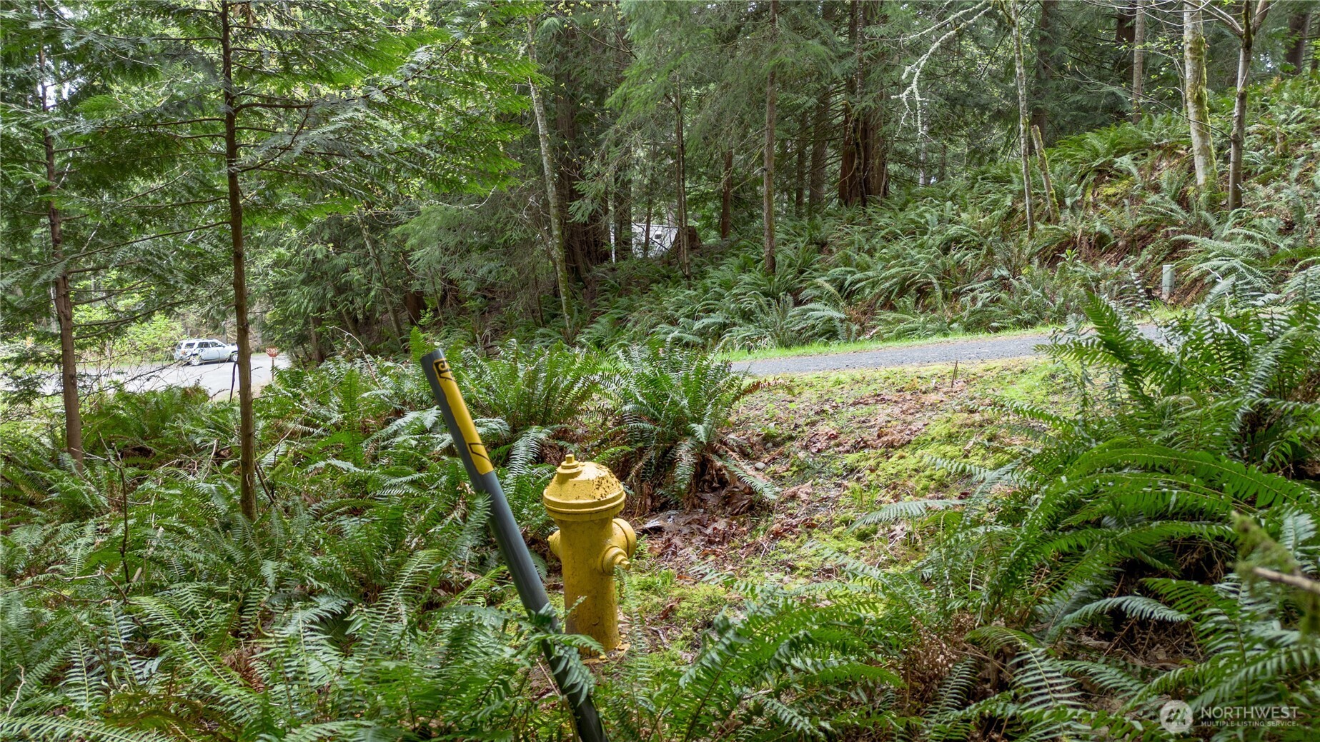 13 Wisteria Lane , Bellingham, WA 98229