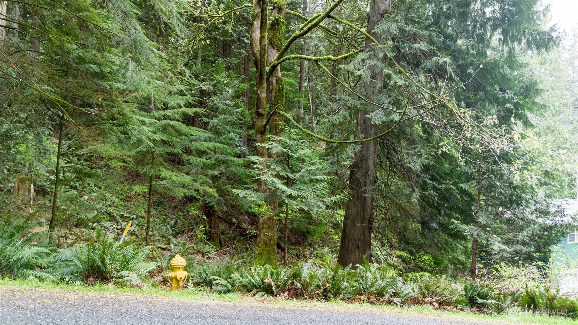 13 Wisteria Lane , Bellingham, WA 98229