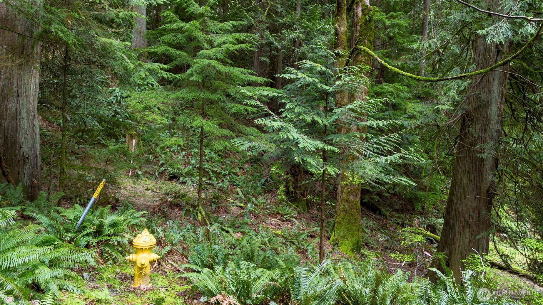 13 Wisteria Lane , Bellingham, WA 98229