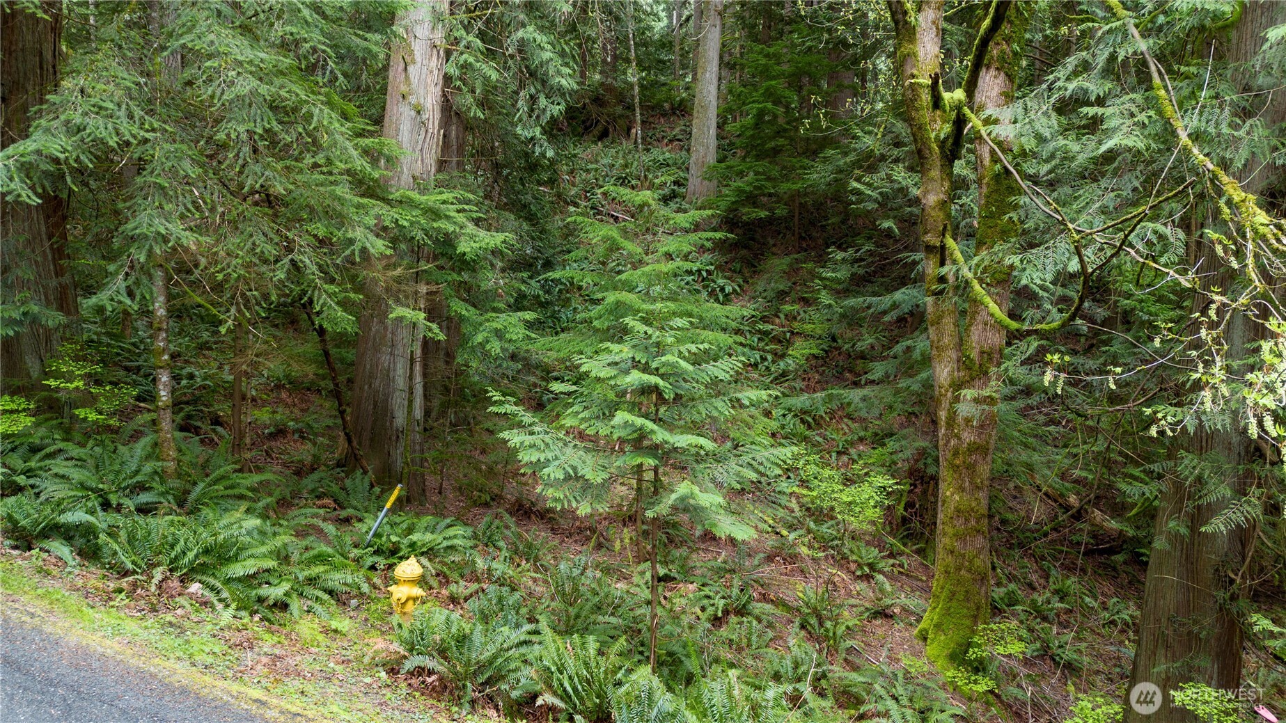 13 Wisteria Lane , Bellingham, WA 98229