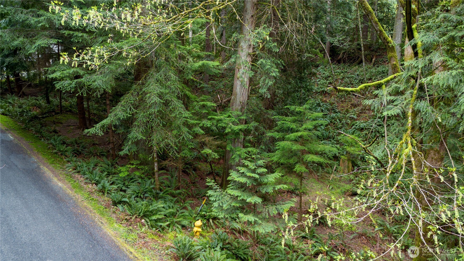 13 Wisteria Lane , Bellingham, WA 98229