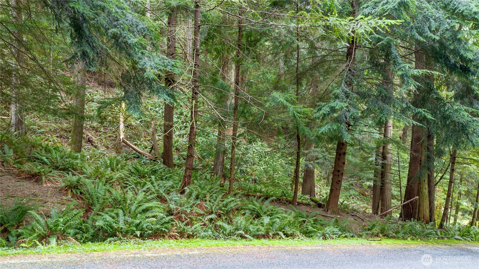 13 Wisteria Lane , Bellingham, WA 98229