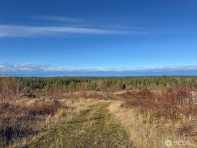 2495 Chicken Coop Road , Sequim, WA 98382 - Photo 19