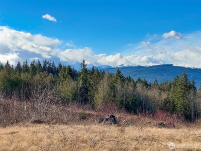2495 Chicken Coop Road , Sequim, WA 98382 - Photo 23