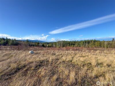 2495 Chicken Coop Road , Sequim, WA 98382 - Photo 26