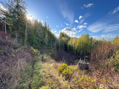 2495 Chicken Coop Road , Sequim, WA 98382 - Photo 34