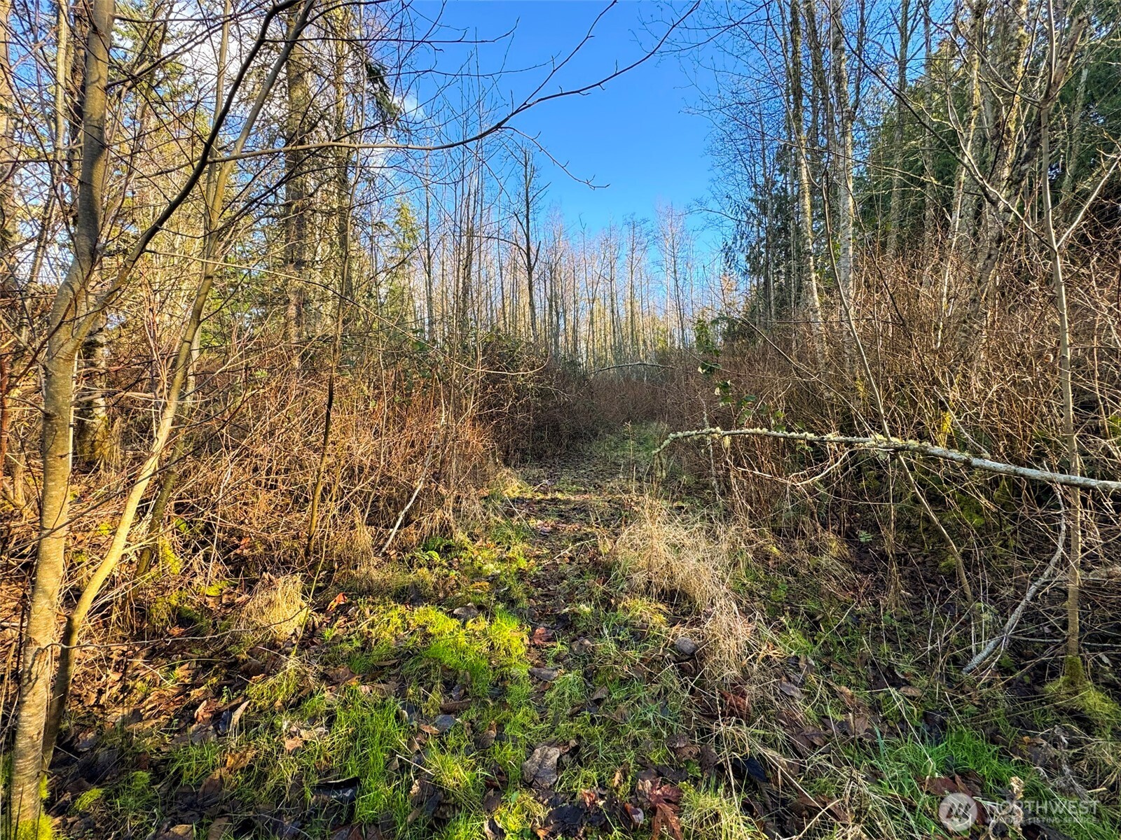 2495 Chicken Coop Road , Sequim, WA 98382