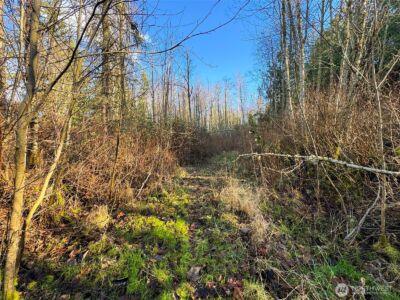 2495 Chicken Coop Road , Sequim, WA 98382 - Photo 36