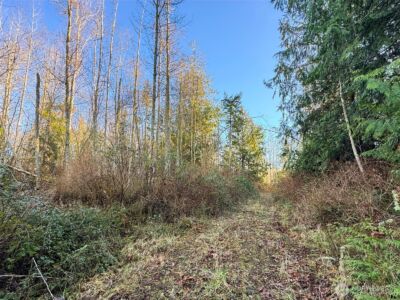 2495 Chicken Coop Road , Sequim, WA 98382 - Photo 37