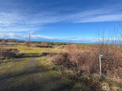 2495 Chicken Coop Road , Sequim, WA 98382 - Photo 4