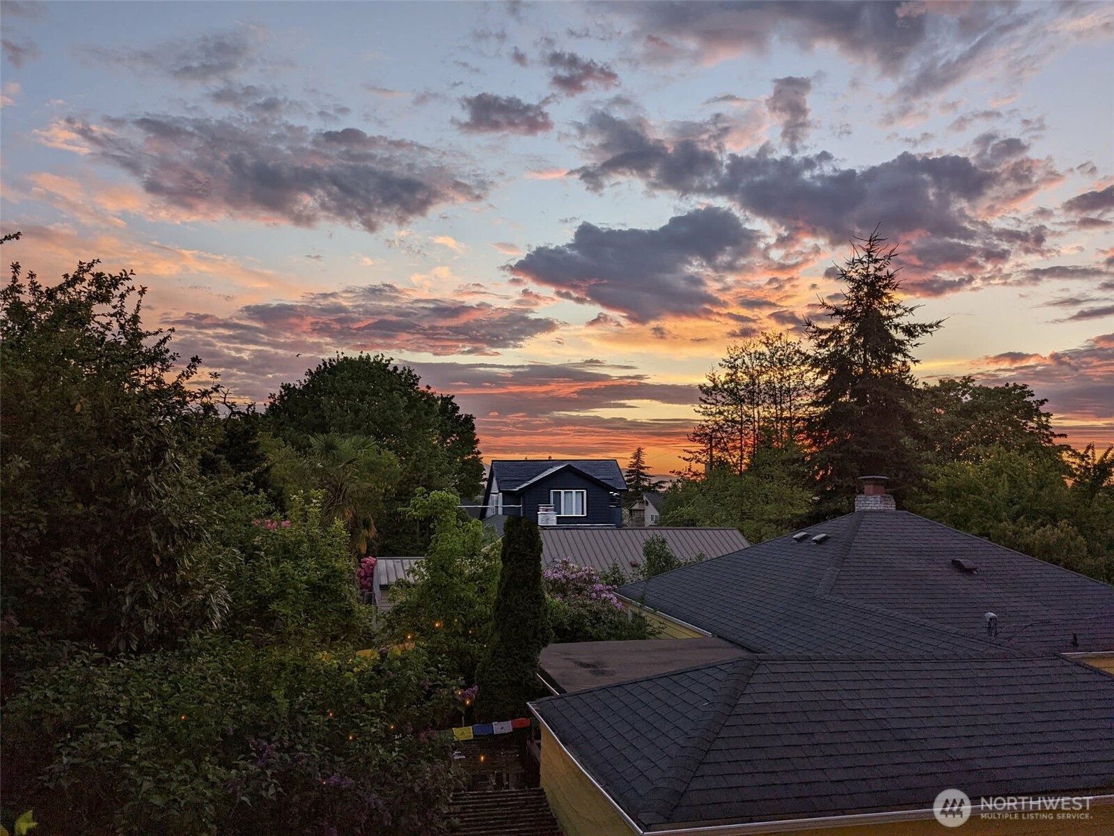 135 N 105th Street #103, Seattle, WA 98133