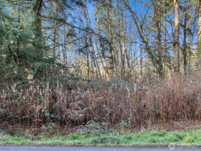 0 XX 188th Street NW, Stanwood, WA 98292 - Photo 8