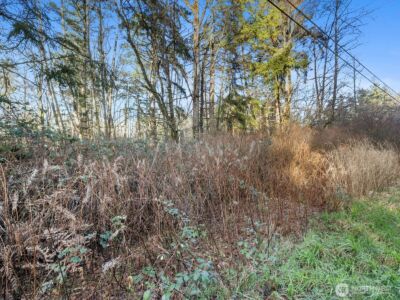 0 XX 188th Street NW, Stanwood, WA 98292 - Photo 10