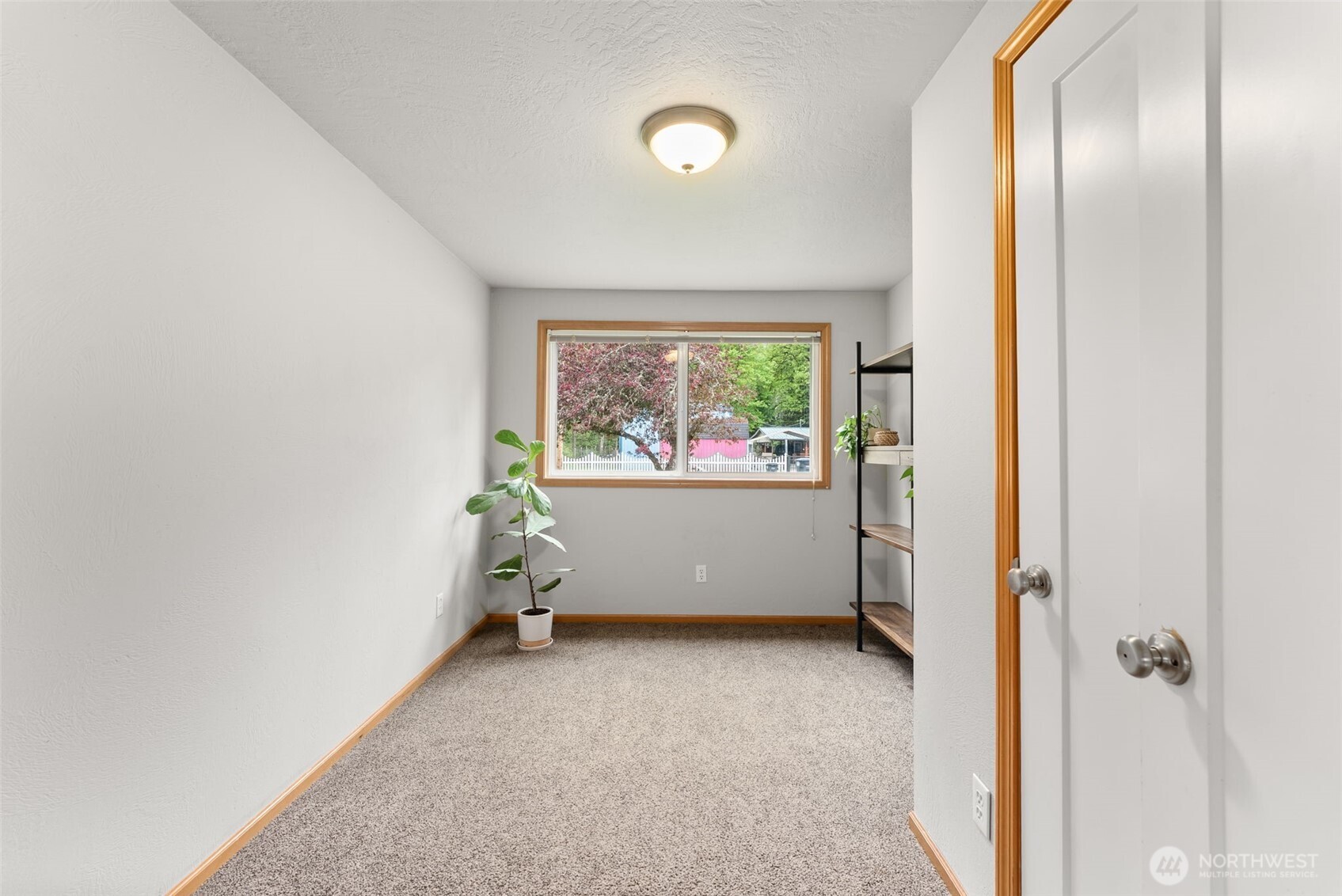 339 Conine Street SE, Olympia, WA 98513