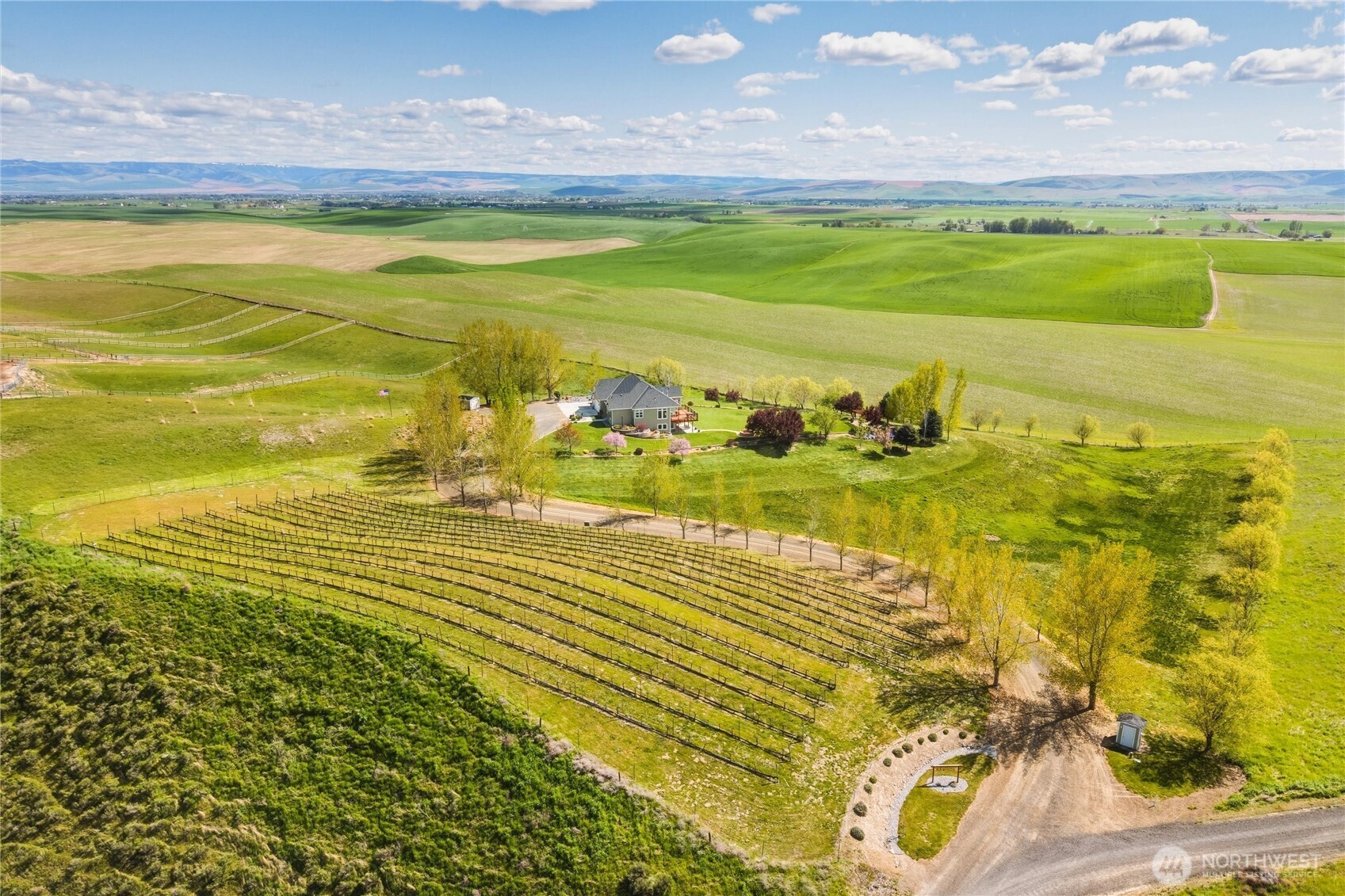 167 Rawhide Road , Walla Walla, WA 99362