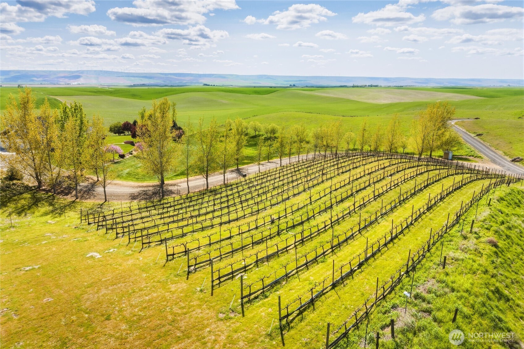 167 Rawhide Road , Walla Walla, WA 99362