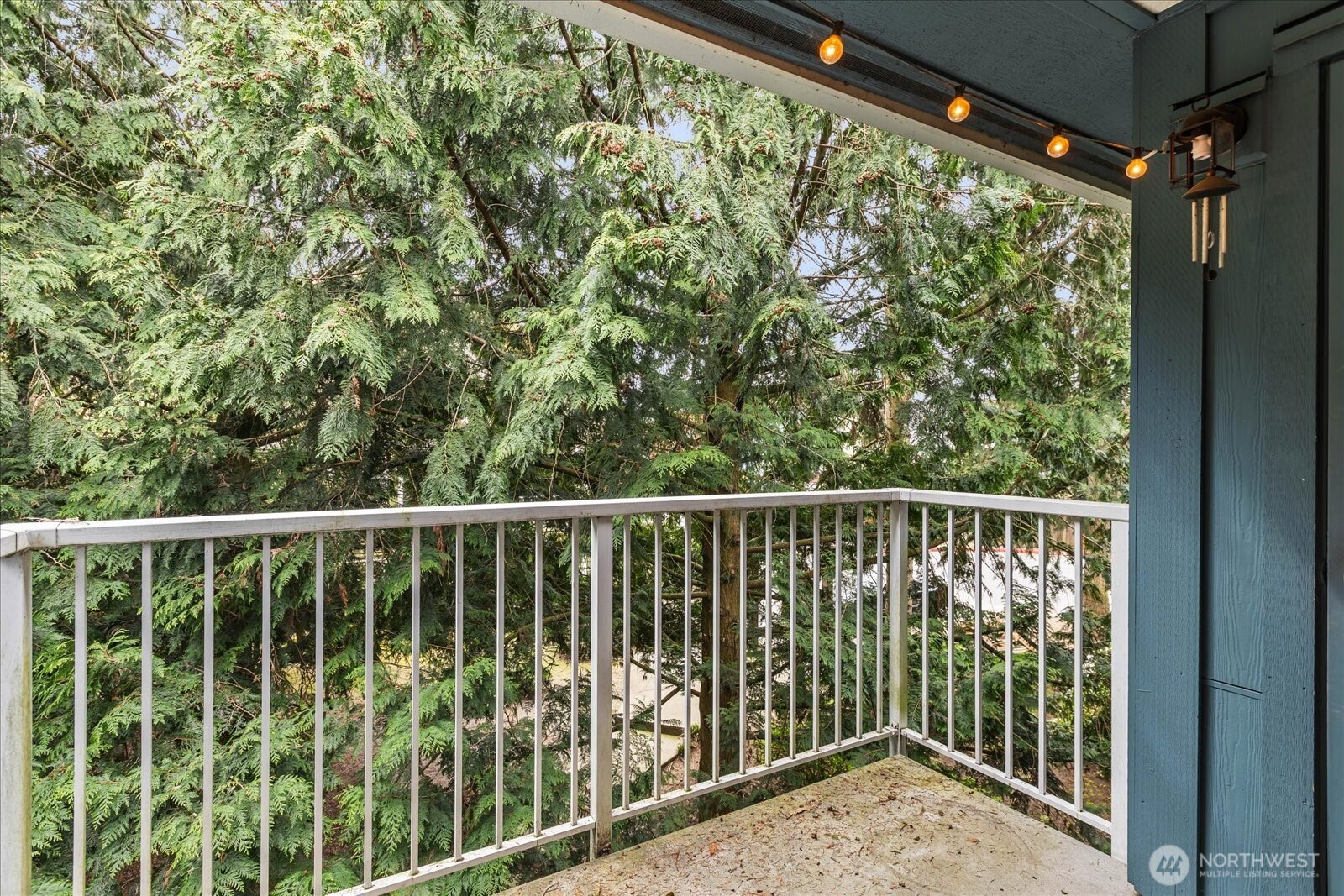 300 N 130th Street #2302, Seattle, WA 98133